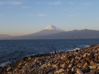 西伊豆歩道大瀬崎コースの富士山のサムネイル写真9