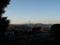 伊豆シャボテン公園の富士山のサムネイル写真1