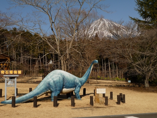 奇石博物館の富士山の写真2