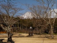 奇石博物館の富士山のサムネイル写真4