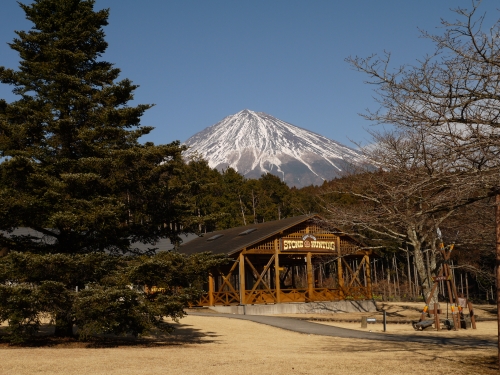 奇石博物館の富士山の写真1