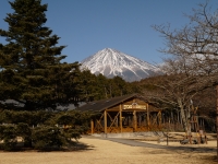 奇石博物館の富士山のサムネイル写真1