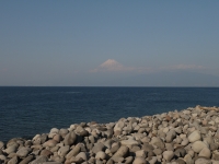 御浜岬の富士山のサムネイル写真20