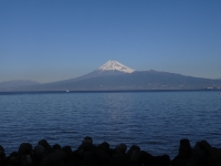 御浜岬の富士山のサムネイル写真8