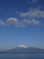 御浜岬の富士山のサムネイル写真2