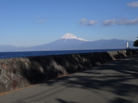 御浜岬の富士山のサムネイル写真12