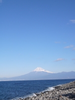 御浜岬の富士山のサムネイル写真1