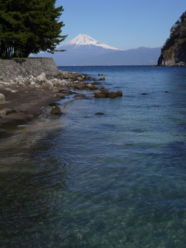 御浜岬の富士山の写真11