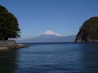 御浜岬の富士山のサムネイル写真24