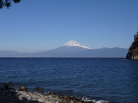 御浜岬の富士山のサムネイル写真15
