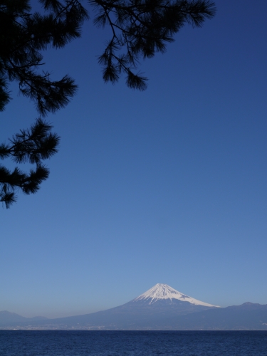 御浜岬の富士山の写真4