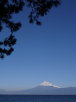 御浜岬の富士山のサムネイル写真4