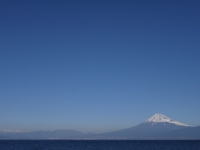 御浜岬の富士山のサムネイル写真5