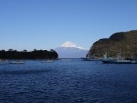 富士見海岸通りの富士山のサムネイル写真6