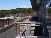 沼津港の富士山のサムネイル写真3