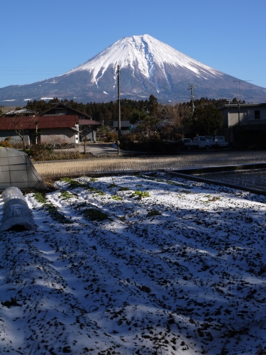 陣場の滝の富士山の写真1