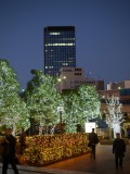 夜の神楽坂の写真のサムネイル写真10